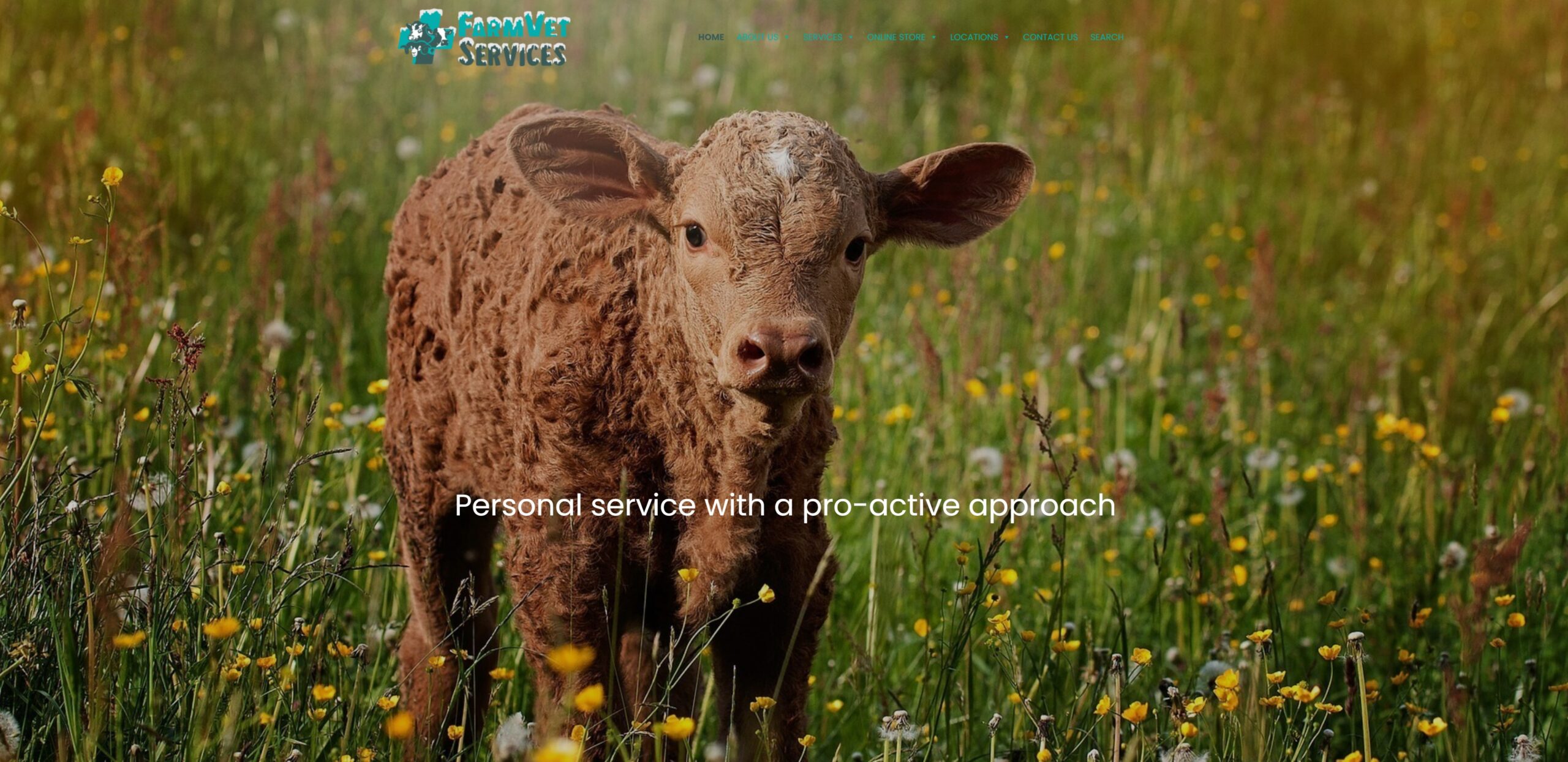 Farm Vet Services Site